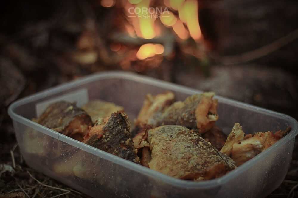 wędkarstwo skandynawia